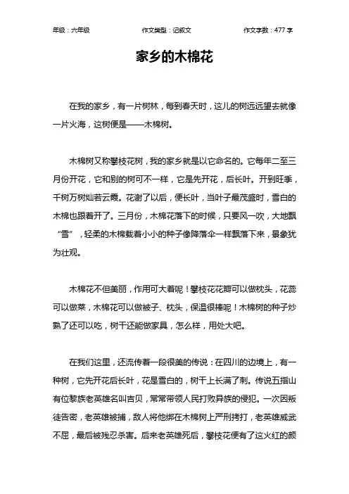 家乡的木棉花作文【小学六年级500字】