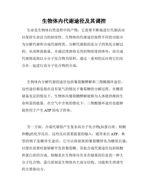 生物体内代谢途径及其调控