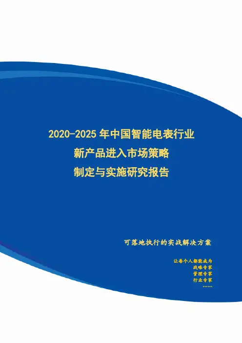 2020-2025年中国智能电表行业新产品进入市场策略制定与实施研究报告