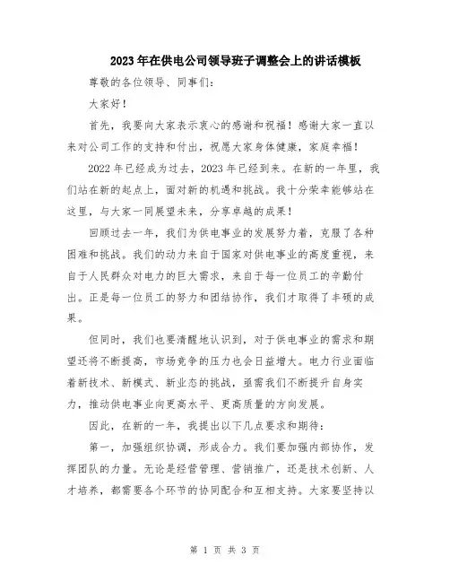 2023年在供电公司领导班子调整会上的讲话模板