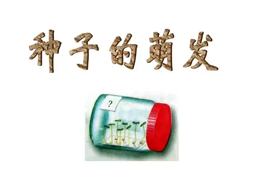 人教版七年级上册生物第三单元第二章第一节种子的萌发课件