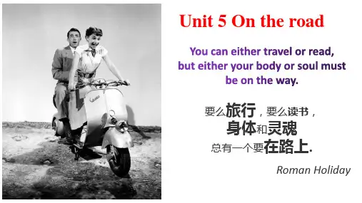 Unit5+Understanding+ideas+语言点 高中英语外研版2019必修第二册