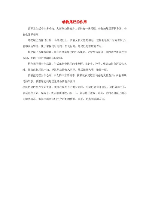 一年级语文上册 课文 2 6《比尾巴》相关阅读 动物尾巴的作用 新人教版