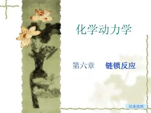 第六章 链反应1