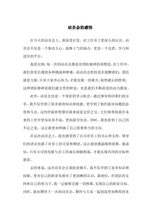 动员会的感悟