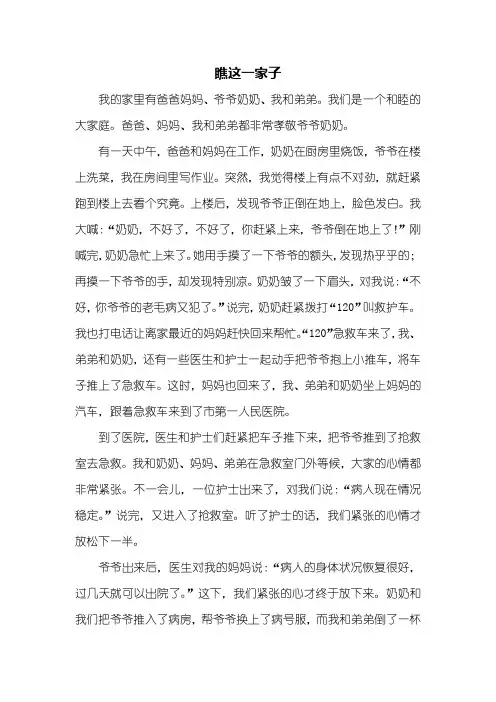 五年级作文：瞧这一家子作文600字
