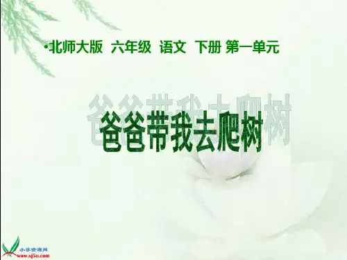 爸爸带我去爬树课件(北师大版六年级语文下册课件)