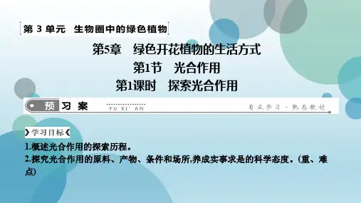 北师大版七年级上册生物课件：3.5.1 光合作用 1课时 探索光合作用
