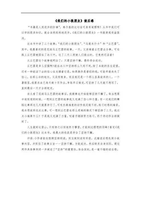 2022《我们的小狼朋友》读后感