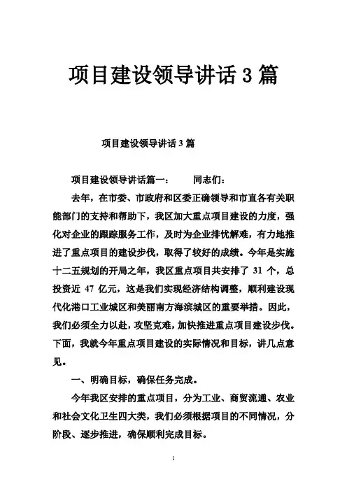 项目建设领导讲话3篇
