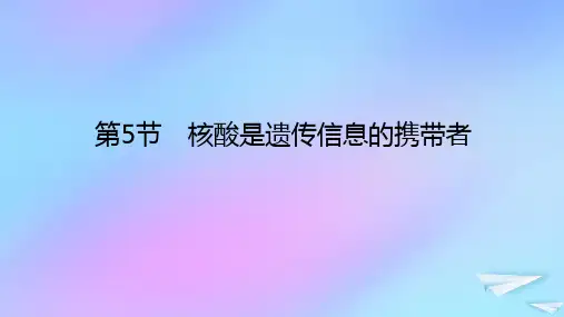 2023新教材高中生物第2章组成细胞的分子第5节核酸是遗传信息的携带者课件新人教版必修1