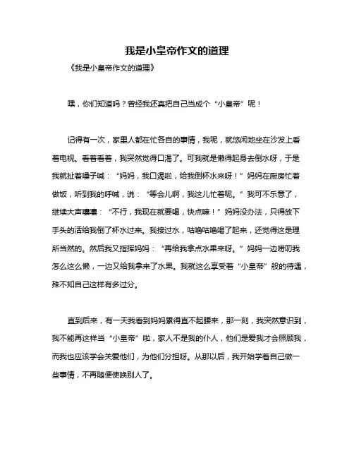 我是小皇帝作文的道理