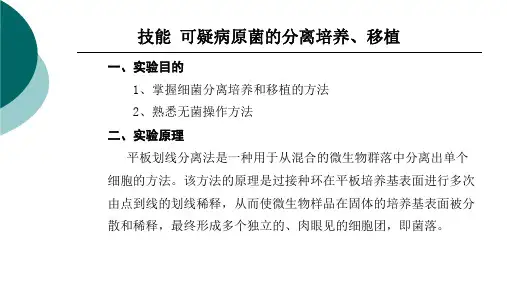 病原菌的分离培养