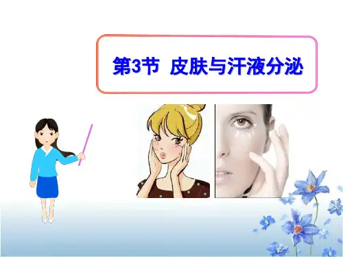 《皮肤与汗液分泌》PPT (共26张PPT)