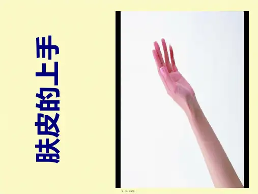北师大版四年级语文下册手上的皮肤教学课件
