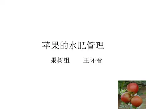 苹果的水肥管理
