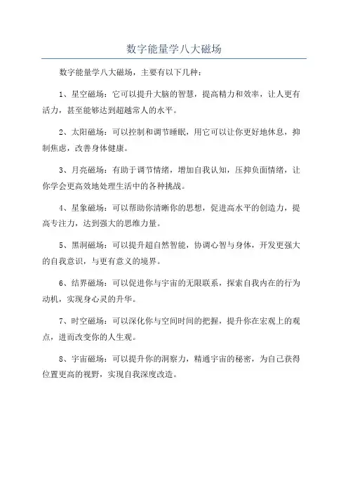 数字能量学八大磁场