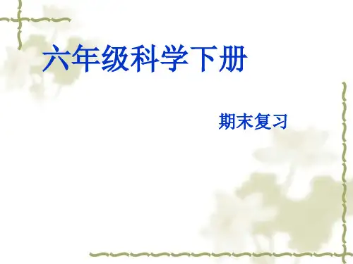 教科版六年级下册科学总复习 ppt课件