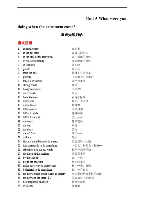 新目标八年级下Unit5 What were you doing when the rainstorm came重点知识归纳.doc