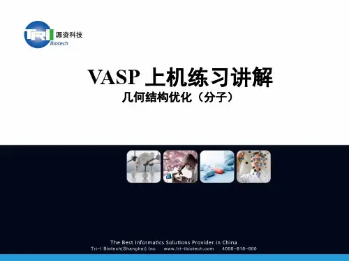 VASP上机练习讲解几何结构优化分子
