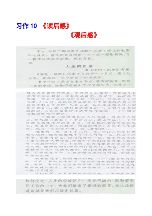 沪教版五年级下册习作10《读后感》《观后感》范文(计56篇)