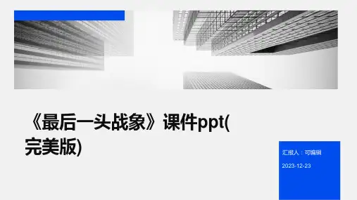《最后一头战象》课件PPT(完美版)图文