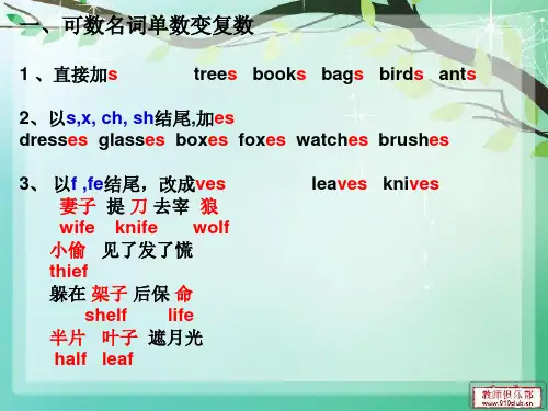 可数名词单数变复数