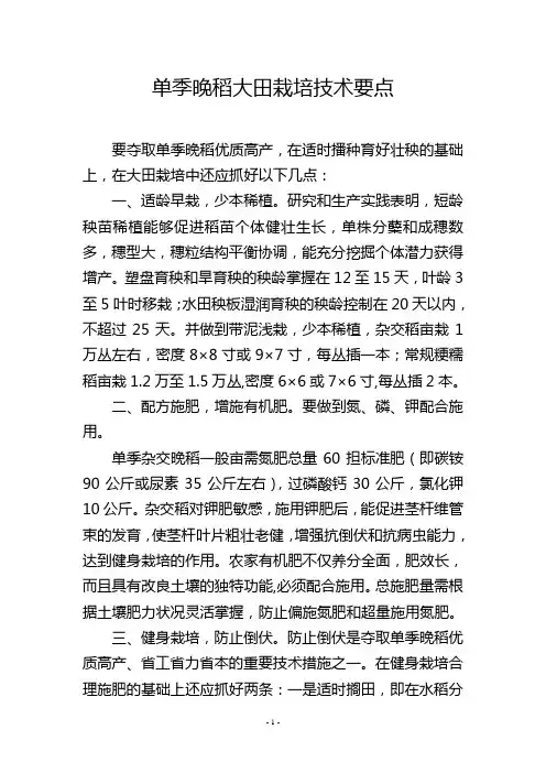 单季晚稻大田栽培技术要点