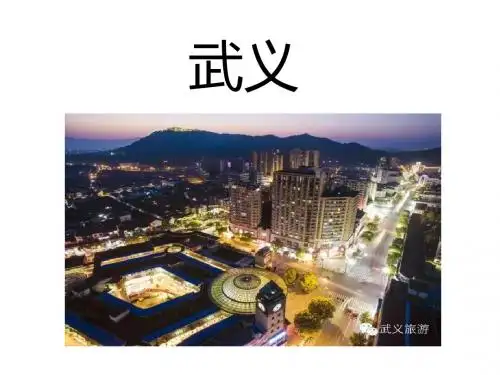 武义简介