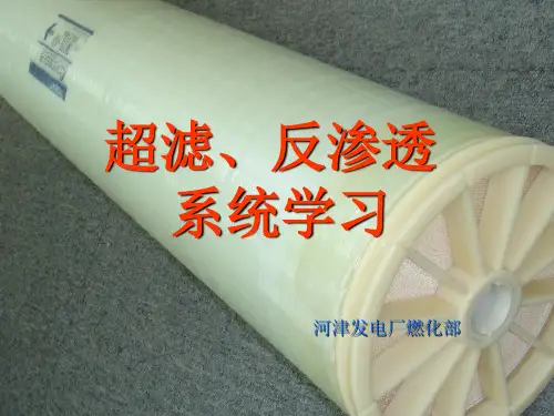(完整版)反渗透培训