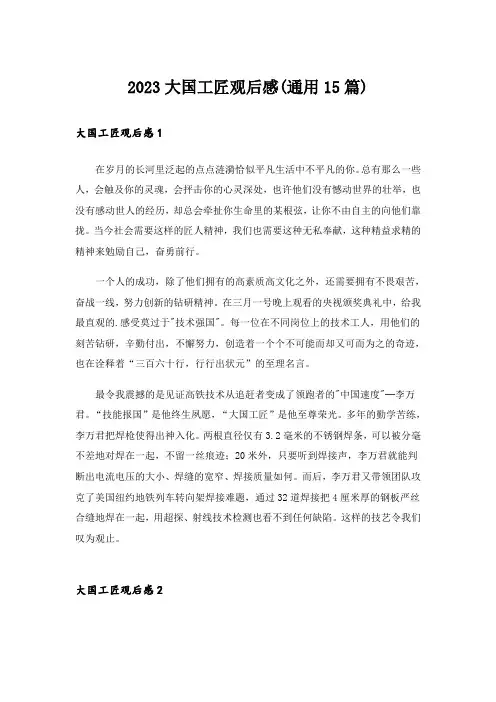 2023大国工匠观后感(通用15篇)