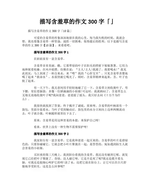 描写含羞草的作文300字
