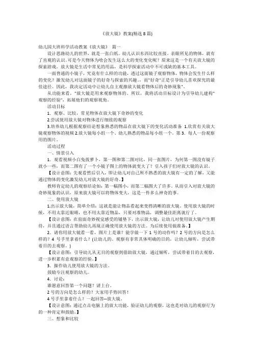 《放大镜》教案(精选8篇)