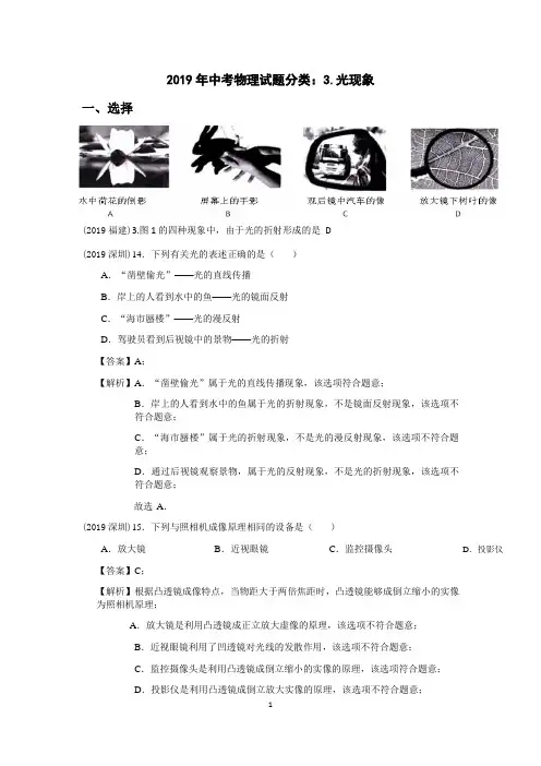 2019年中考物理试题分类：光现象