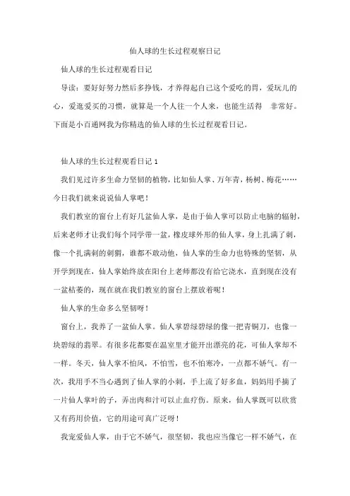 仙人球的生长过程观察日记