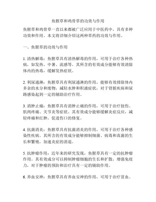 鱼腥草和鸡骨草的功效与作用