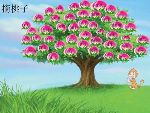人教小学语文三上  6.小摄影师  练习课件