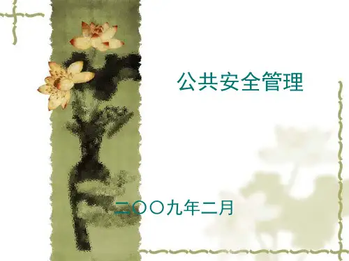公共安全管理(共计146页)
