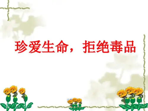 禁毒教育完整ppt课件
