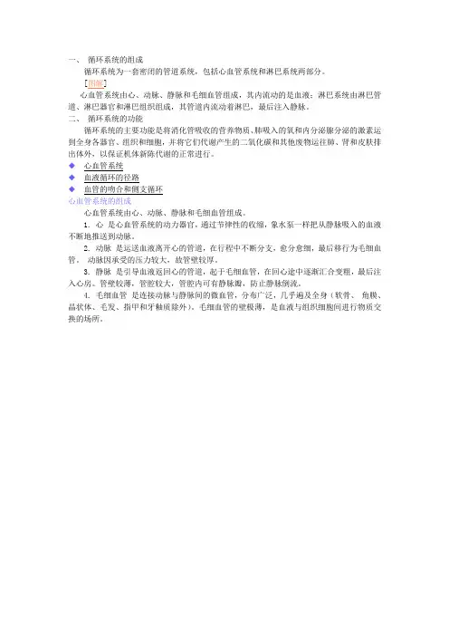 循环系统