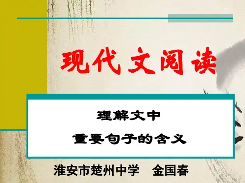 高考复习现代文阅读：理解文中重要句子的含义ppt
