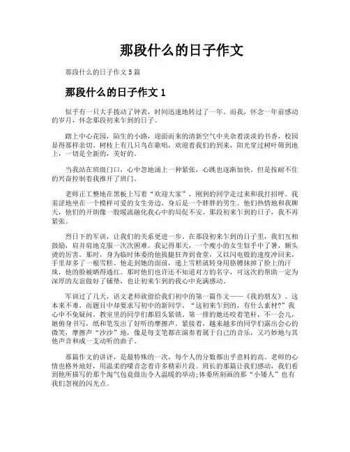 那段什么的日子作文