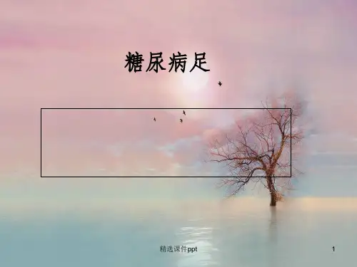 《糖尿病足》PPT课件