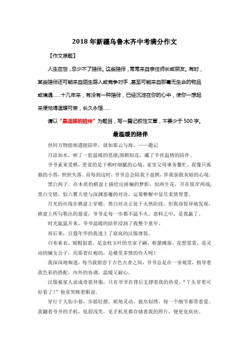 2018年新疆乌鲁木齐中考满分作文《最温暖的陪伴》8