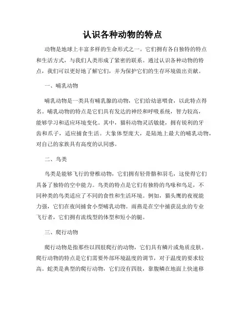 认识各种动物的特点