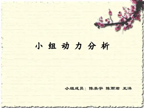 小组工作的相关理论与小组动力