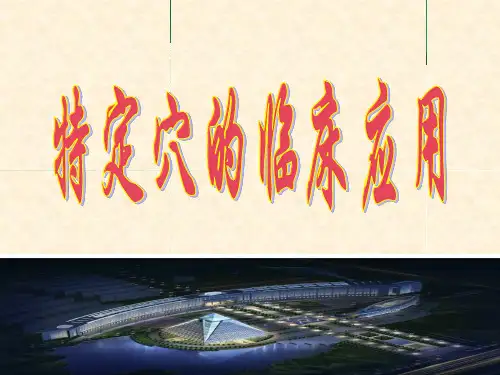 特定穴的临床应用PPT课件