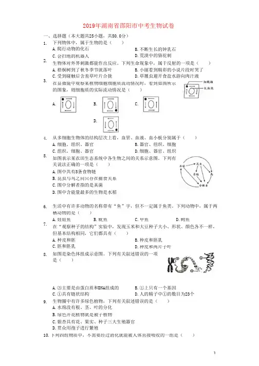 湖南省邵阳市2019年中考生物真题试题及答案