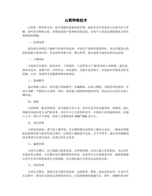 山药种植技术