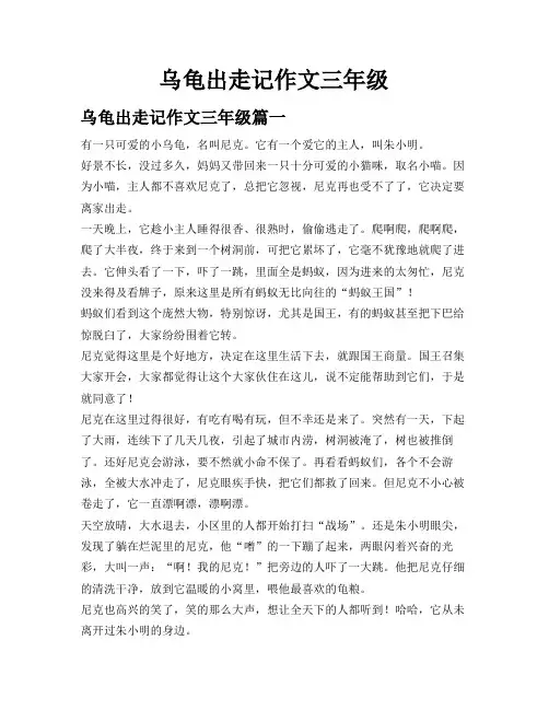 乌龟出走记作文三年级